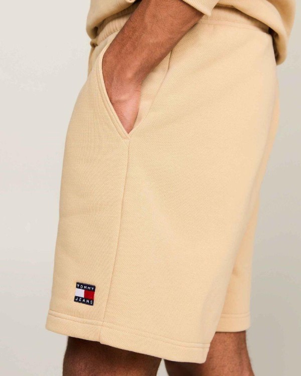 TOMMY HILFIGER Bermudas Homem Castanho DM0DM19590