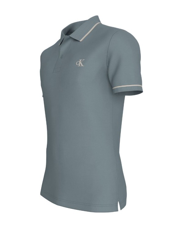  Camisetas Manga corta Hombre CALVIN KLEIN Gris J30J315603