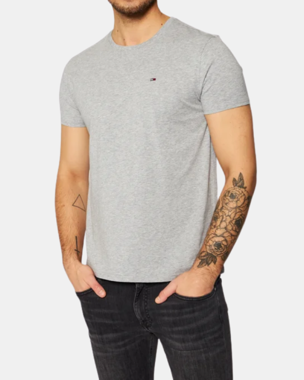  Camisetas Manga corta Hombre TOMMY HILFIGER Gris DM0DM04411