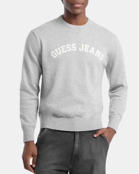 Casacos de Manga Comprida Homem GUESS Cinza M5YR18 Z3HM1