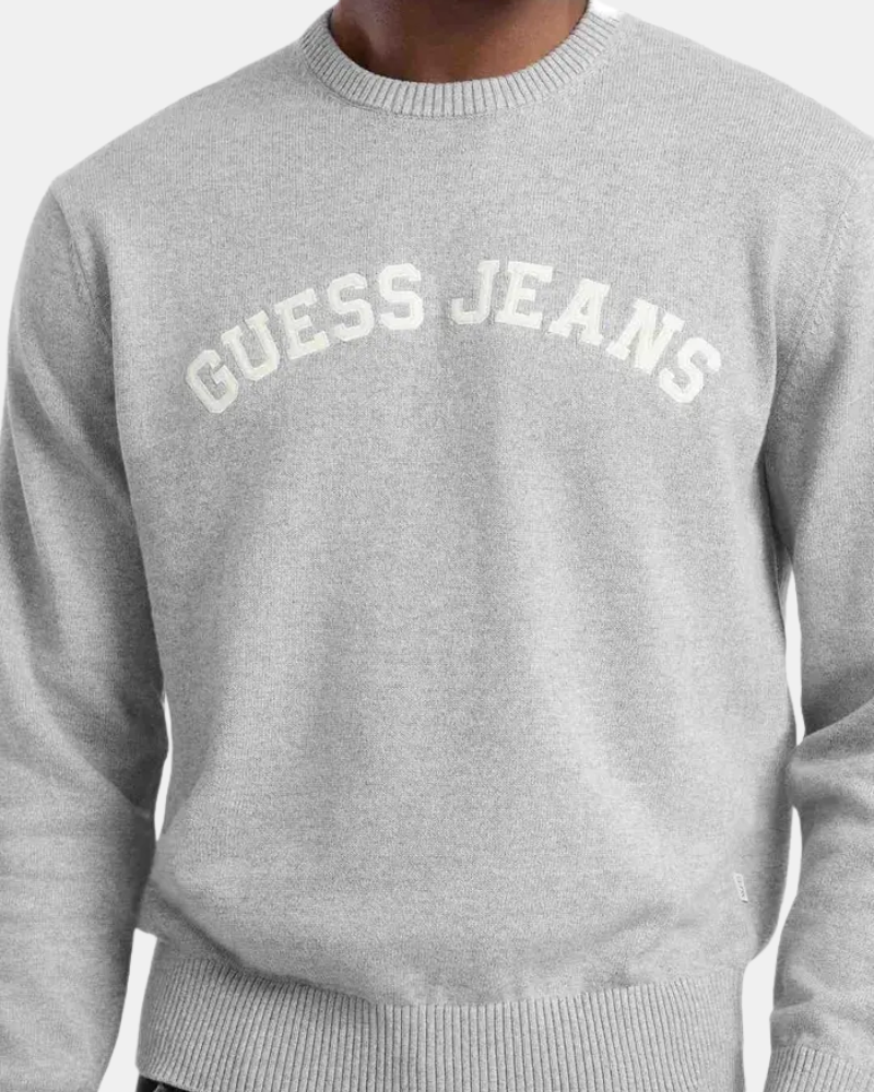 Casacos de Manga Comprida Homem GUESS Cinza M5YR18 Z3HM1