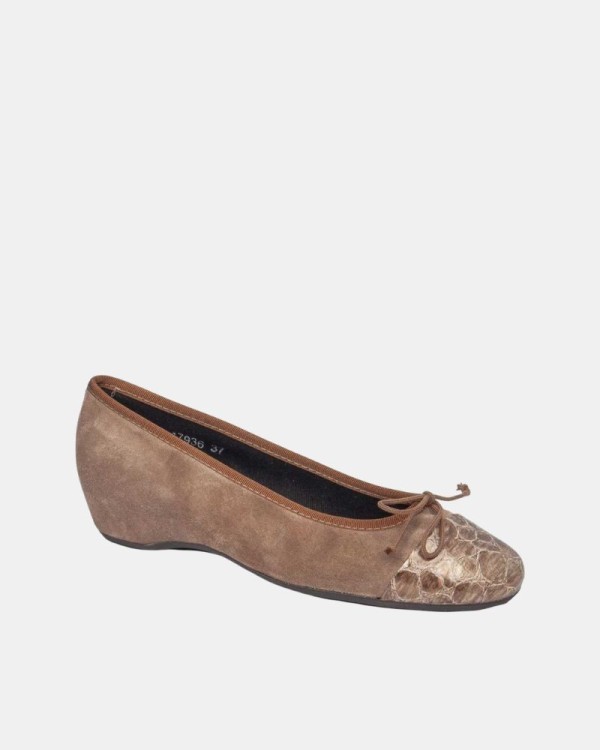 Sapatos Bailarinas Mulher CALLAGHAN Castanho 17936 43341
