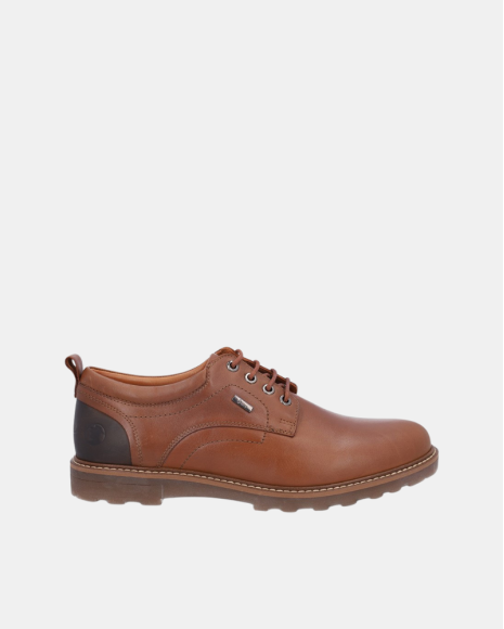 Sapatos Homem CORONEL TAPIOCCA Castanho C322 23