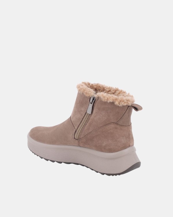  Botines Bajos Mujer IGICO Taupe 8681422