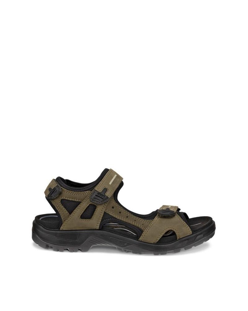 Sandalias Homem ECCO Castanho 069564