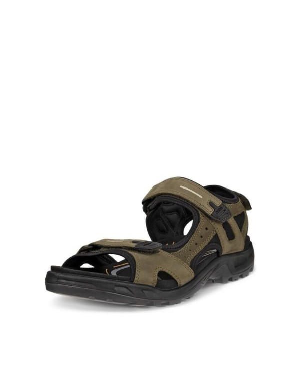 Sandalias Homem ECCO Castanho 069564
