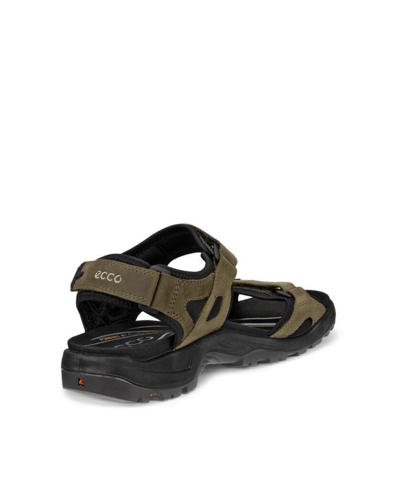  Sandalias Hombre ECCO Marrón 069564