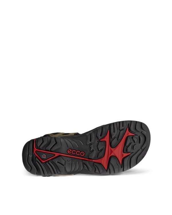  Sandalias Hombre ECCO Marrón 069564