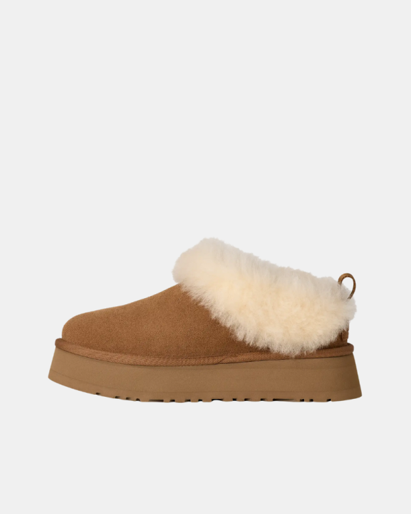 Botas Australianas Mulher UGG Castanho 1171393 TAZZELLE