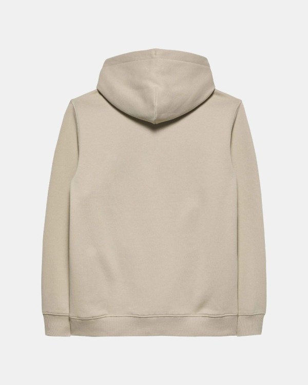  Sudaderas Hoodie Hombre TOMMY HILFIGER Arena DM0DM20746ABY