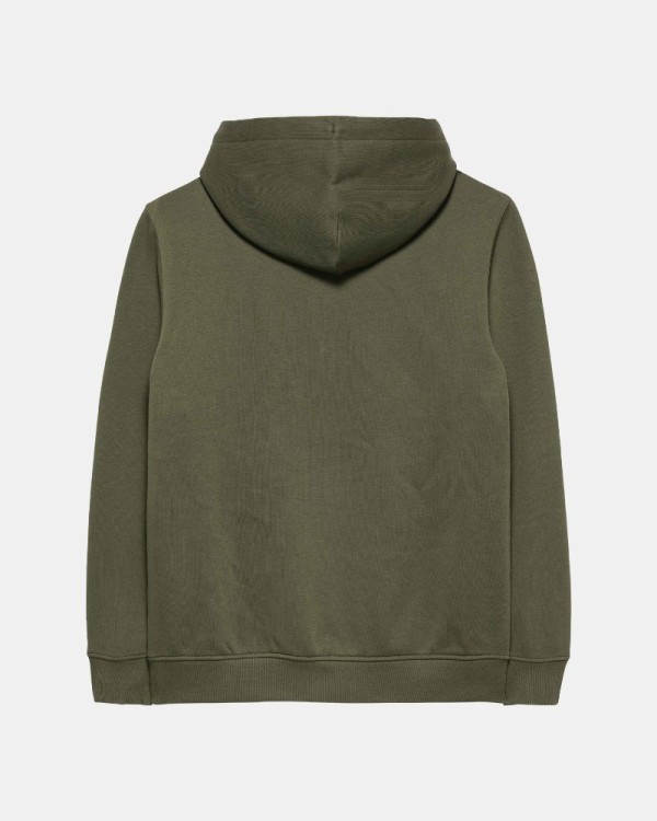  Sudaderas Hoodie Hombre TOMMY HILFIGER Verde DM0DM20746GY1