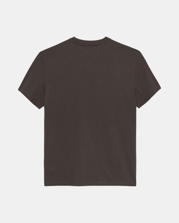  Camisetas Manga corta Hombre TOMMY HILFIGER Marrón DM0DM20744GW1