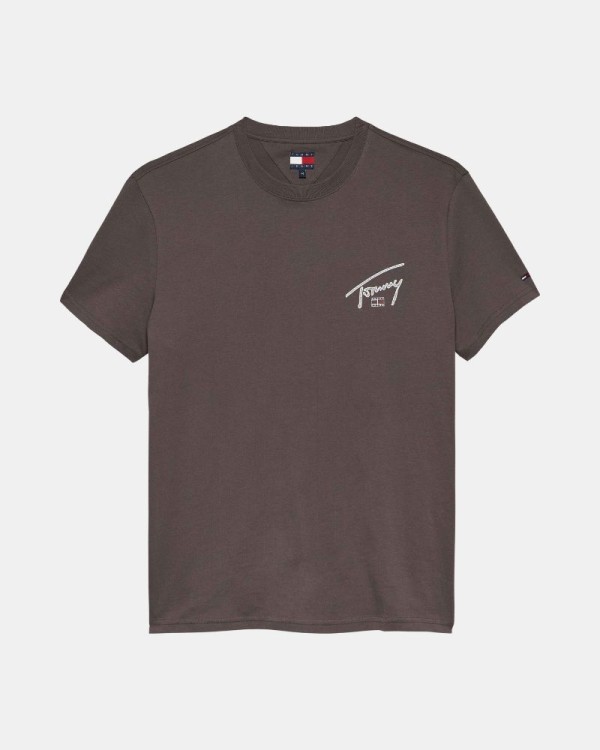  Camisetas Manga corta Hombre TOMMY HILFIGER Marrón DM0DM22320GW1