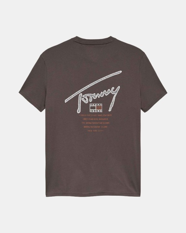  Camisetas Manga corta Hombre TOMMY HILFIGER Marrón DM0DM22320GW1