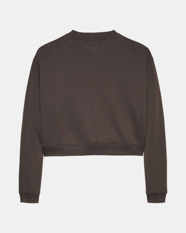  Sudaderas Sin capucha Mujer TOMMY HILFIGER Marrón DW0DW21923GW1
