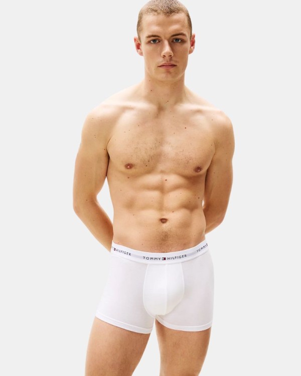  Ropa interior Boxer Hombre TOMMY HILFIGER Multicolor UM0UM027610UB 3 3P TRUNK