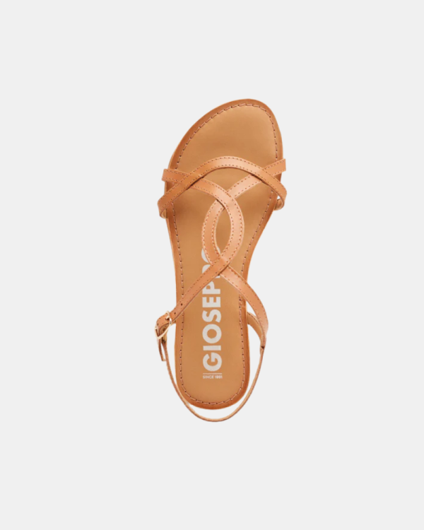 Sandalias Mujer GIOSEPPO Marrón 69113 P LAMIM