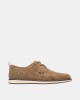 Sapatos Baixos Homem XTI Taupe 145713