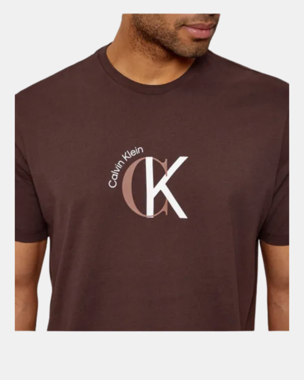 Camisetas de manga curta para homem CALVIN KLEIN Castanho LV14RE829G2IN