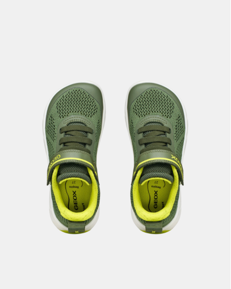 Zapatillas Bajas Infantil GEOX Verde J65PDB 06K9J