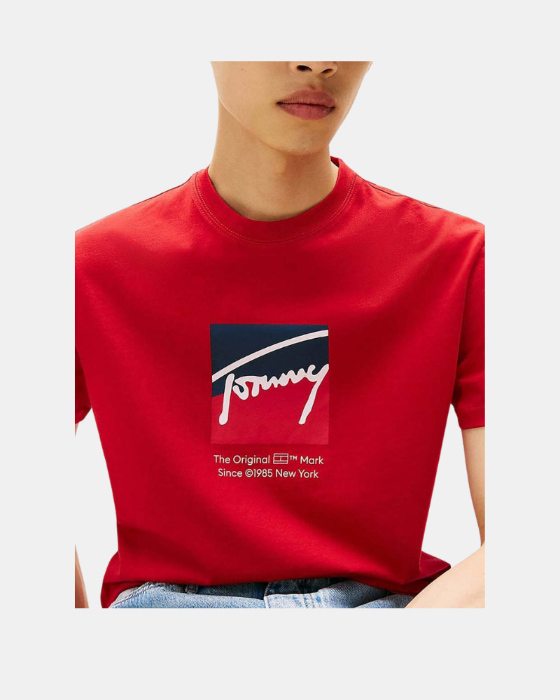 Camisetas Manga curta Homem TOMMY HILFIGER Vermelho DM0DM21940XLE