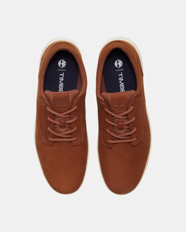 Zapatos Bajos Hombre TIMBERLAND Marrón TB0A6C8EEM71 PARKER STREET LOW LACE UP