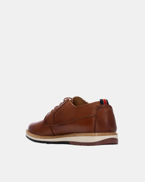 Sapatos Homem Castanho 163903