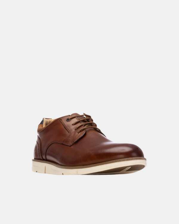Sapatos Homem Castanho 163909