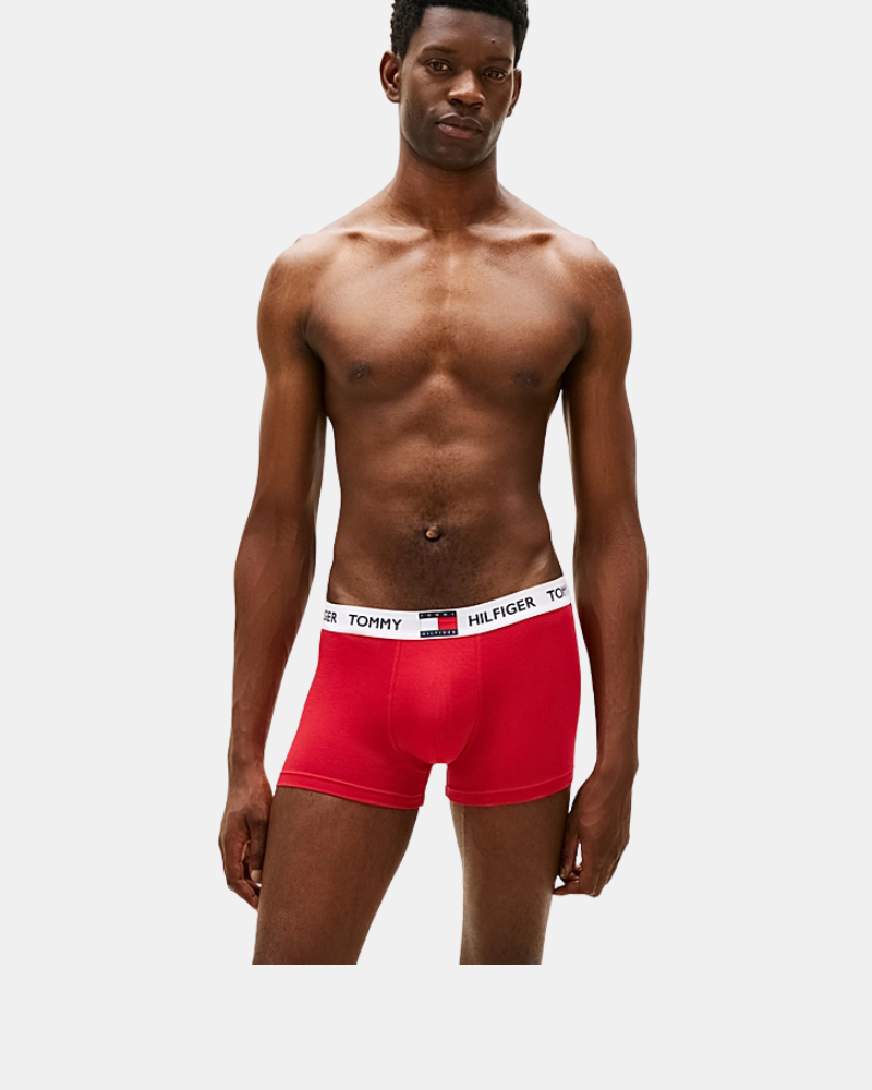 Ropa interior Boxer Hombre TOMMY HILFIGER Multicolor UM0UM03835 3P TRUNK