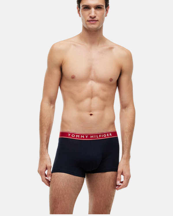 Ropa interior Boxer Hombre TOMMY HILFIGER Multicolor UM0UM03881 3P TRUNK WB
