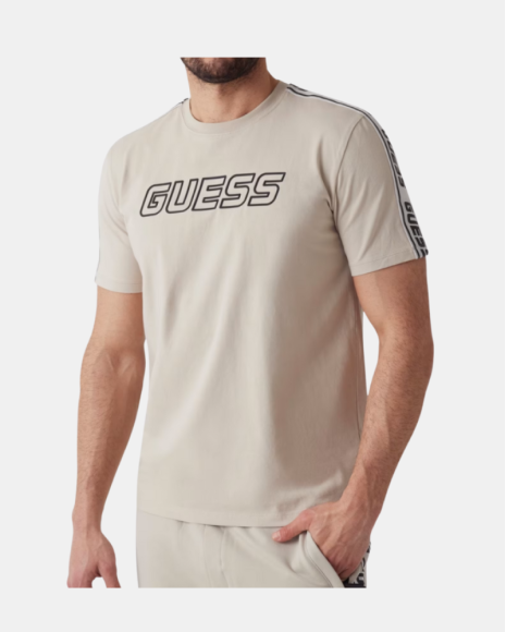 Camisetas Manga corta Hombre GUESS Gris Z4GI18J1314
