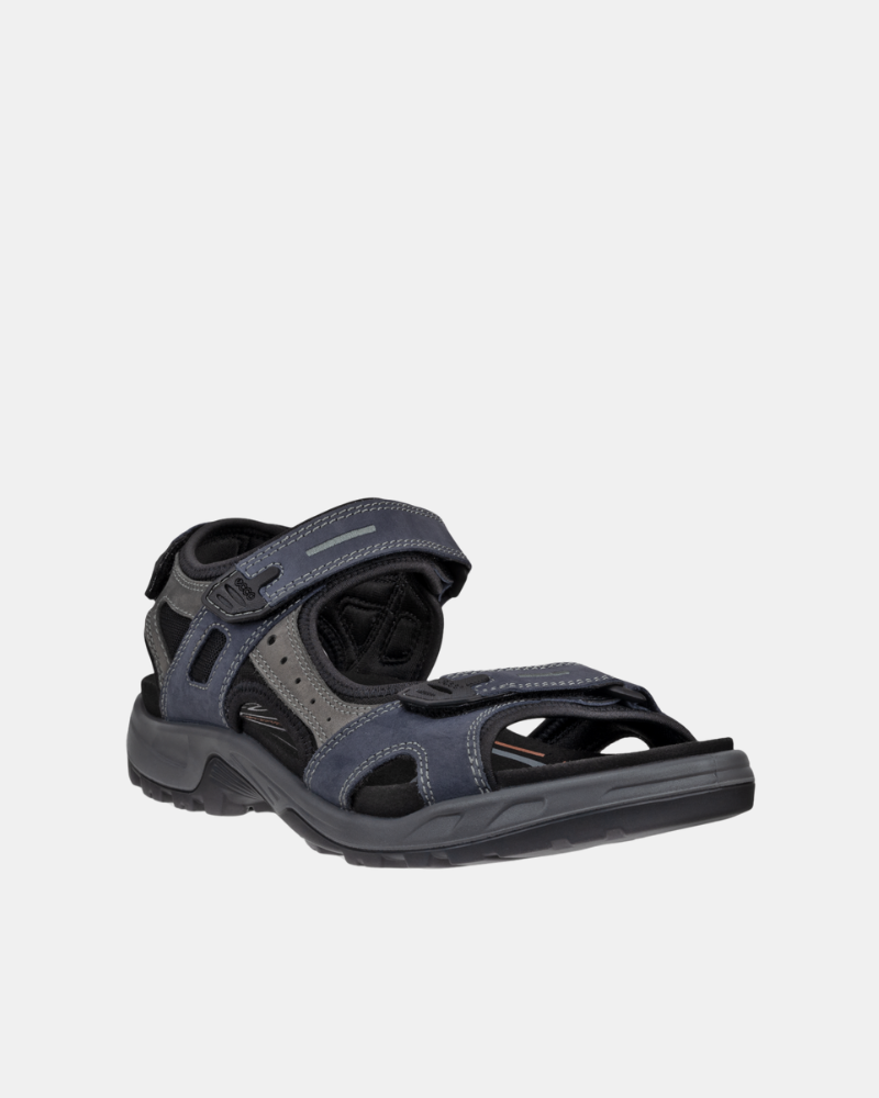 Sandálias para Homem ECCO Azul 069564