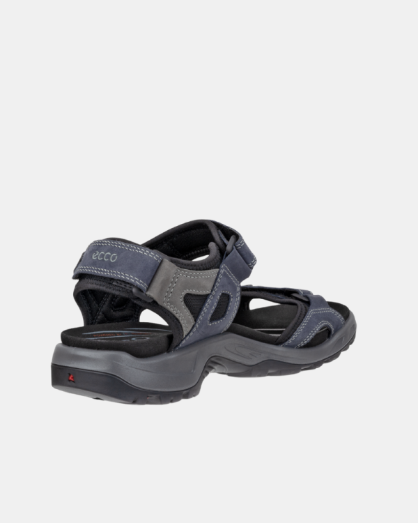 Sandálias para Homem ECCO Azul 069564
