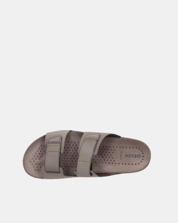 Sandálias/Chinelos Homem GEOX Taupe U652JB 000EK
