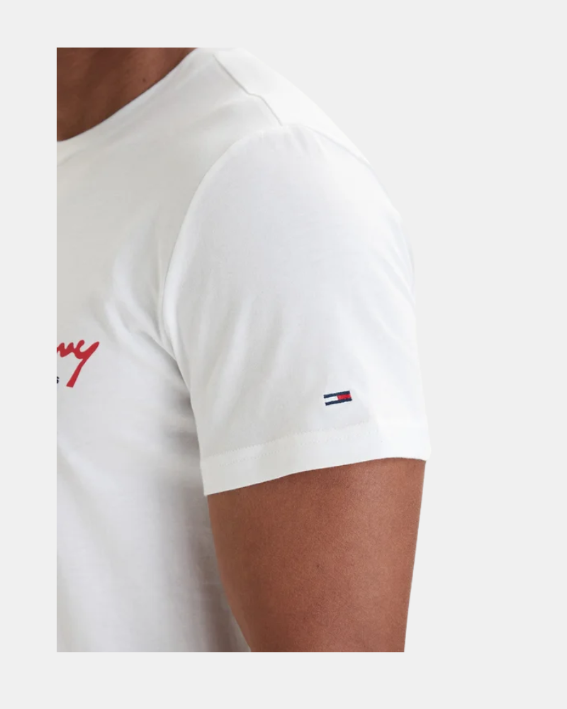 Camisetas Manga curta Homem TOMMY HILFIGER Nude DM0DM22538YBL