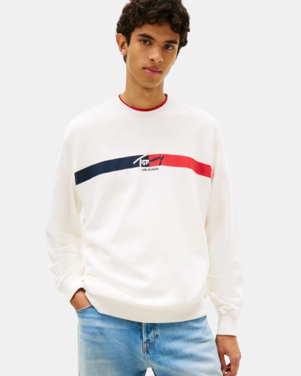 Sudaderas Manga larga Hombre TOMMY HILFIGER Nude DM0DM23019YBL