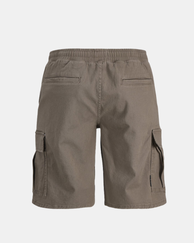 Calções para Homem JACK AND JONES Castanho 12289587 COLE