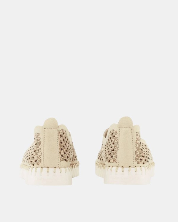 Zapatos Bajos Mujer Ilse Jacobsen Beige TULIP 3275