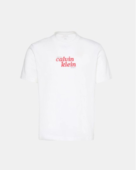 T-shirts Manga curta Homem CALVIN KLEIN Branco LV04RG815GYAF