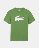 Camisetas Manga corta Hombre LACOSTE Verde TH2042