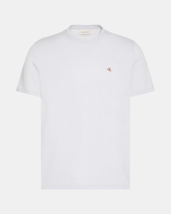 Camisetas Manga corta Hombre CALVIN KLEIN Gris LV04RC272GPSX