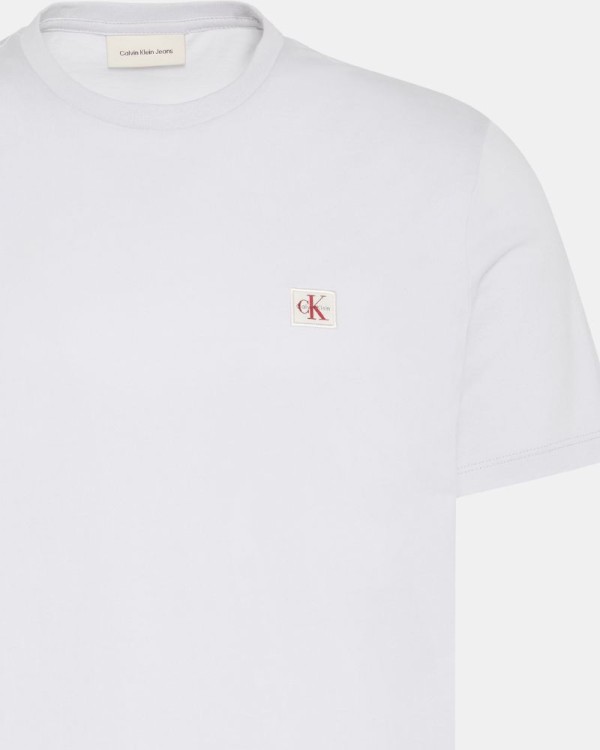 Camisetas Manga corta Hombre CALVIN KLEIN Gris LV04RC272GPSX