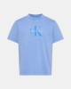 Camisetas Manga corta Hombre CALVIN KLEIN Azul LV04RG832GCG1