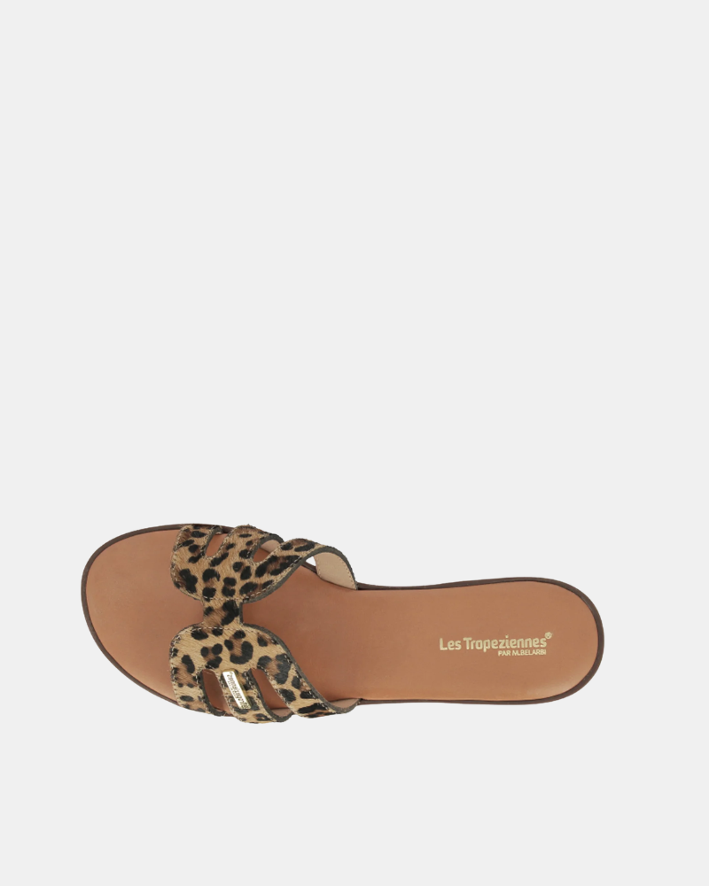 Sandalias Mujer Les Tropeziennes Animal Print HAMIGAPO