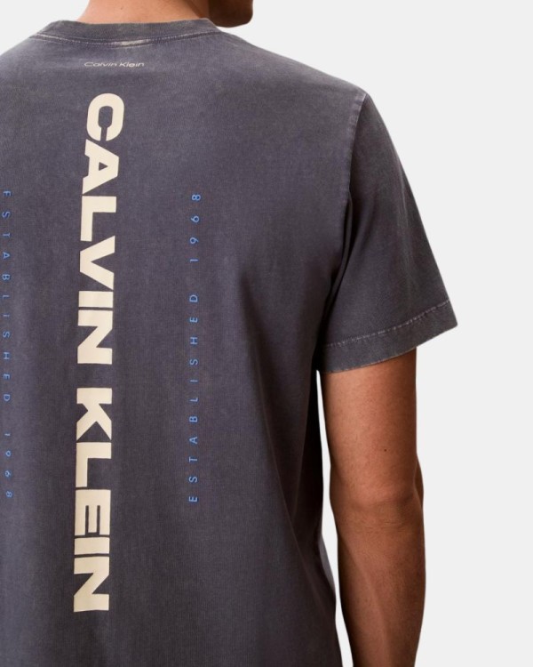 Camisetas Manga corta Hombre CALVIN KLEIN Azul LV04RG834GXL7
