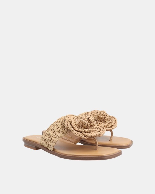 Sandalias De dedo Mujer NOA HARMON Marrón 10016