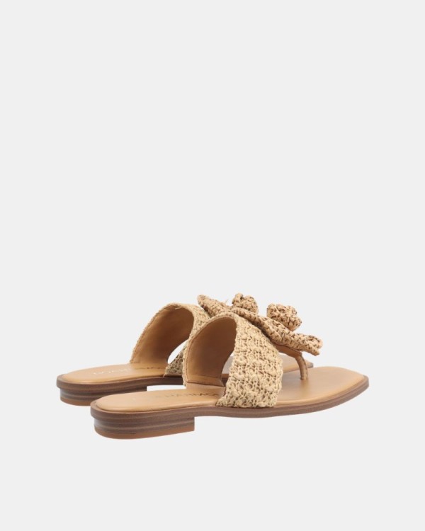 Sandalias De dedo Mujer NOA HARMON Marrón 10016
