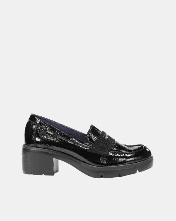 Zapatos Mujer FLUCHOS Negro F2517