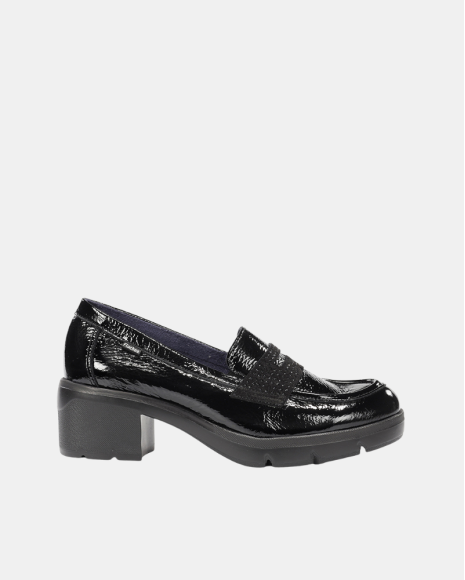 Zapatos Mujer FLUCHOS Negro F2517