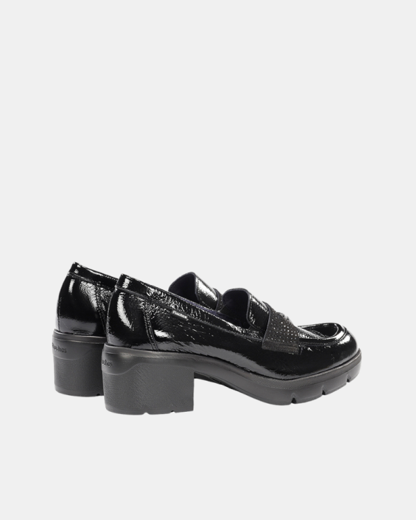 Zapatos Mujer FLUCHOS Negro F2517